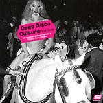 Deep Disco Culture cover