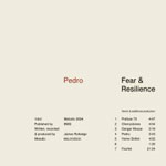 Fear & Resilience Remixes cover